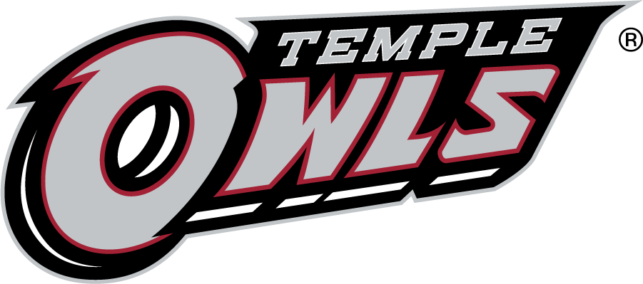 Temple Owls 2014-2020 Wordmark Logo v2 DIY iron on transfer (heat transfer)
